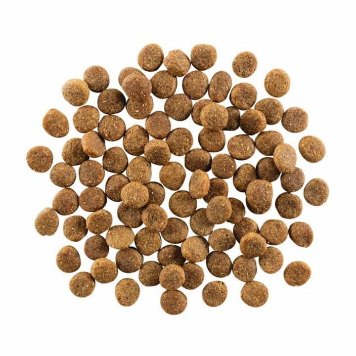 Go! Dog Skin & Coat Care Chicken With Grain 12Lb