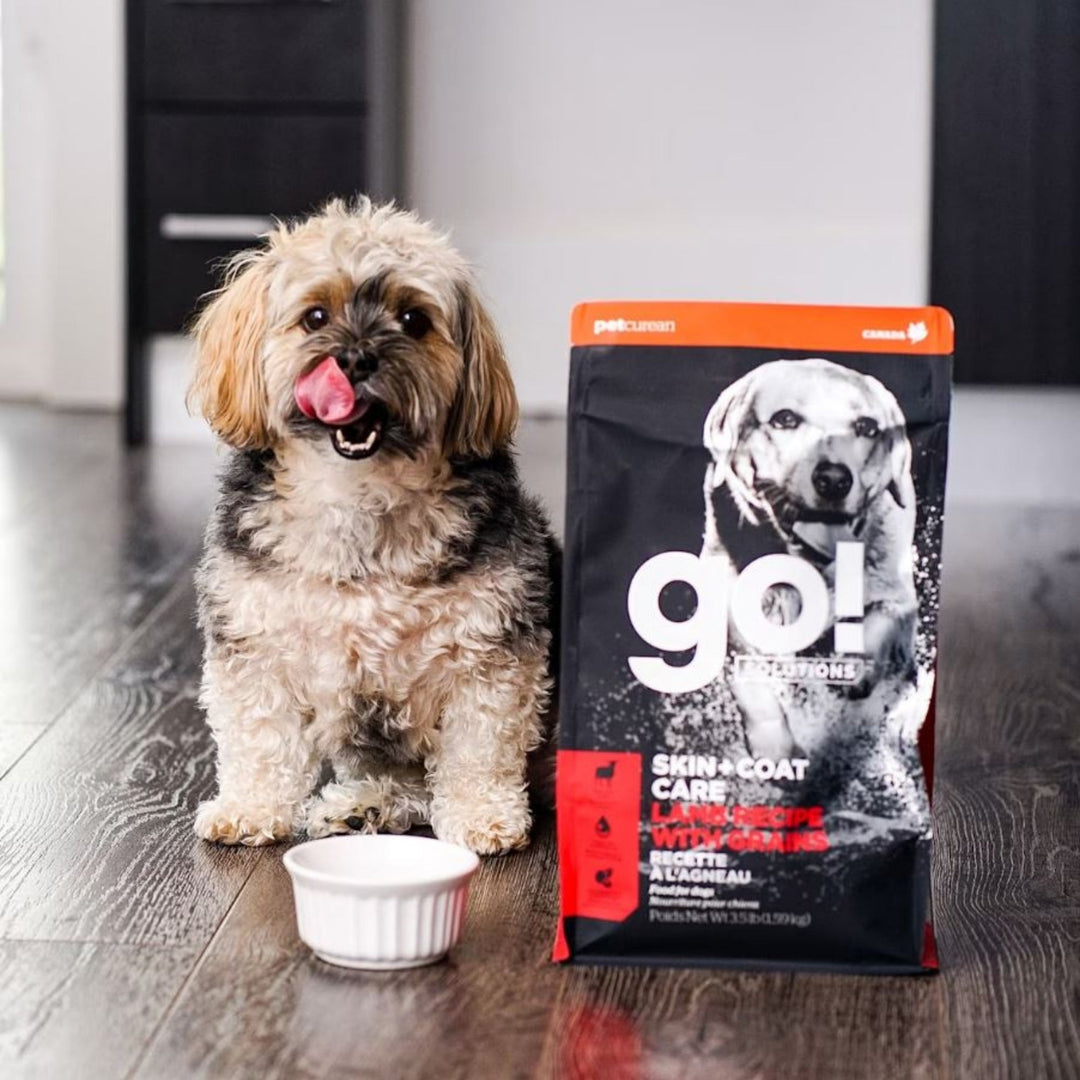 Go! Dog Skin & Coat Care Lamb With Grain 3.5Lb