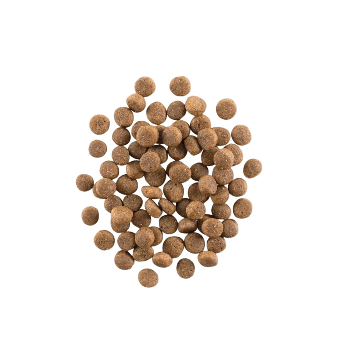 Now Fresh Dog Grain Free Puppy Turkey 3.5Lb