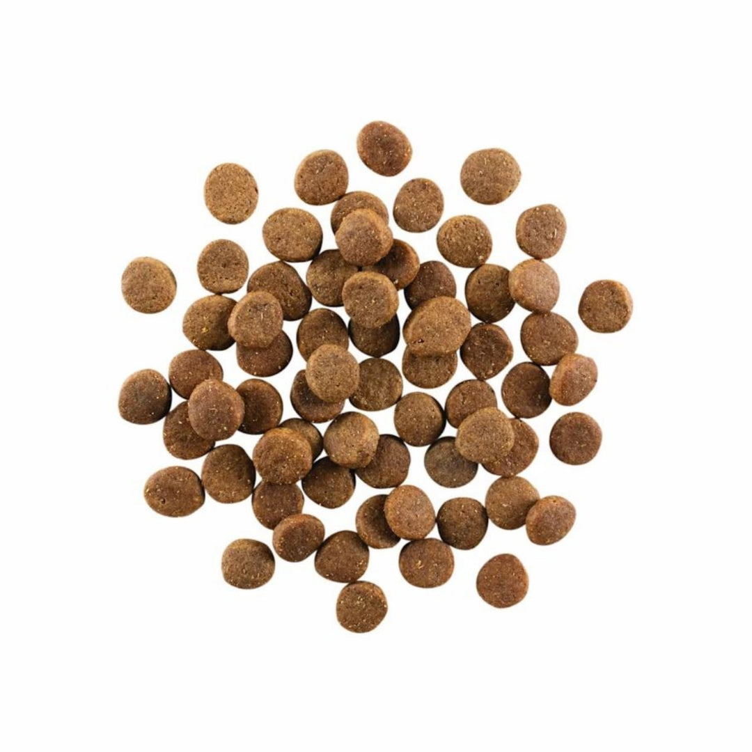 Go! Dog Carnivore Grain Free Adult Chicken, Turkey & Duck 3.5Lb