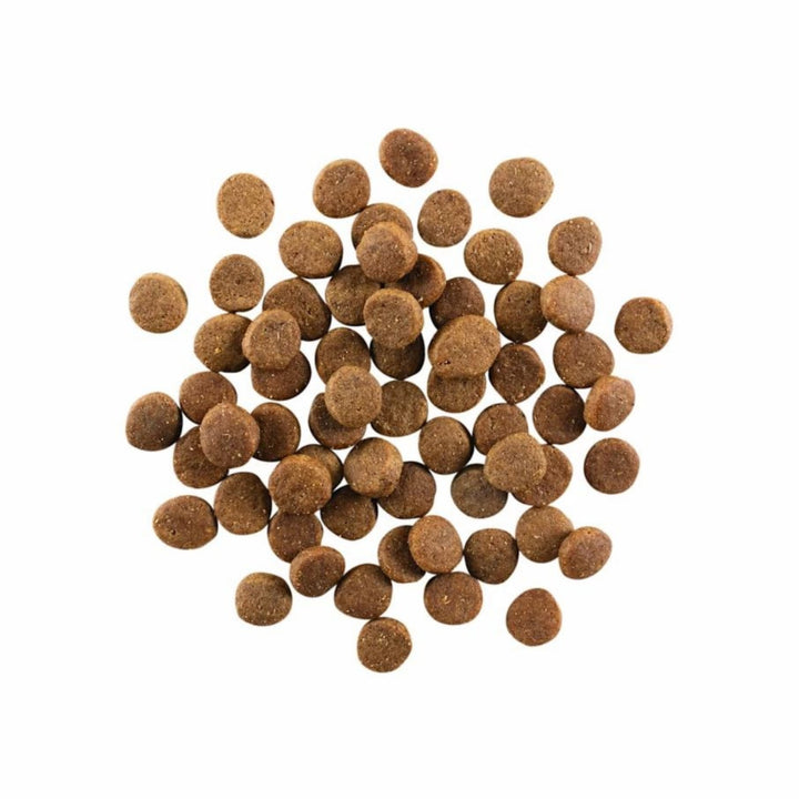 Go! Dog Carnivore Grain Free Adult Chicken, Turkey & Duck 22Lb