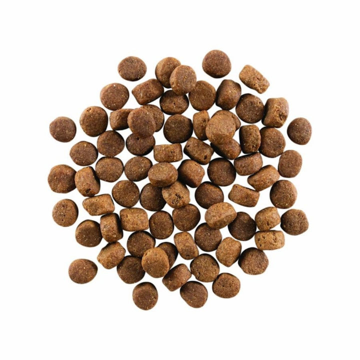 Go! Dog Carnivore Grain Free Senior Chicken, Turkey & Duck 22Lb