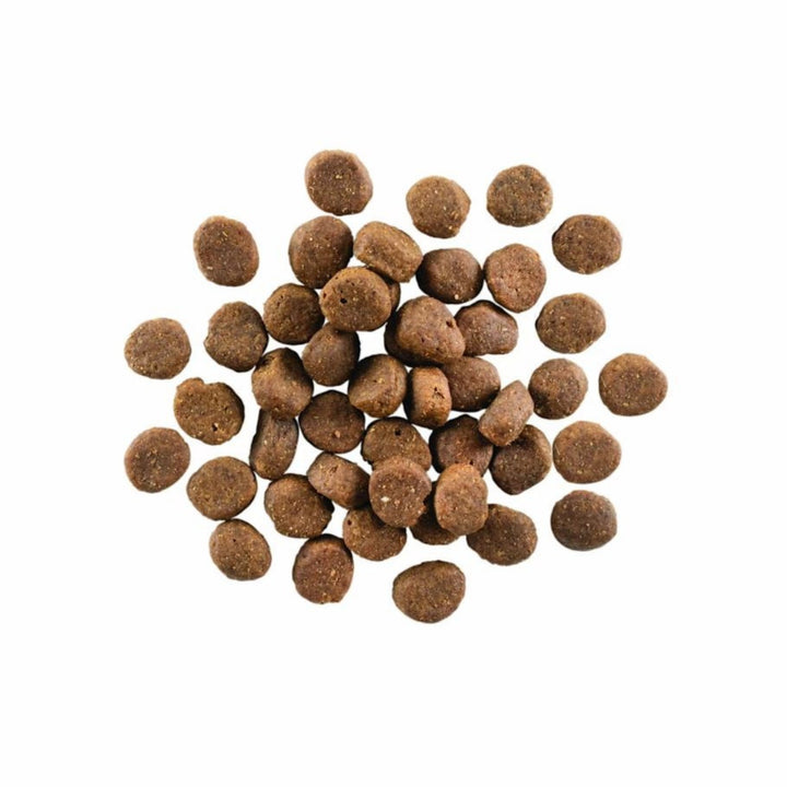 Go! Dog Carnivore Grain Free Lamb & Boar 3.5Lb