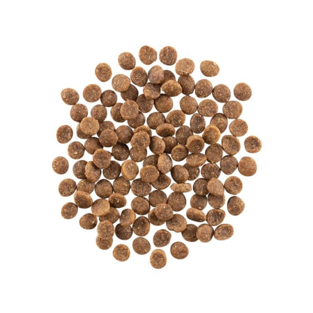 Go! Cat Carnivore Grain Free Salmon & Cod 3Lb