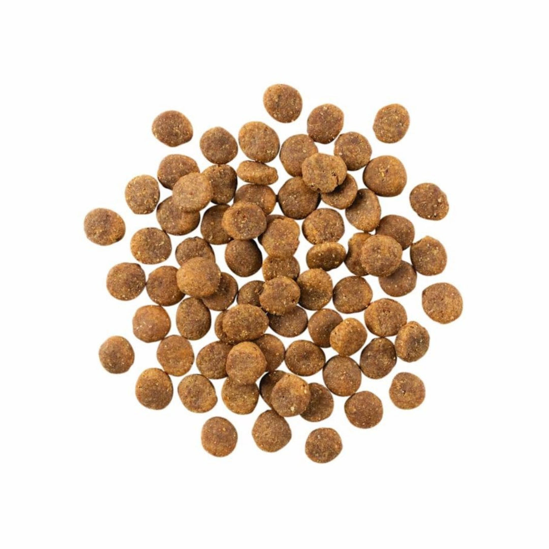 Go! Dog Sensitivities Limited Ingredient Grain Free Duck 22Lb