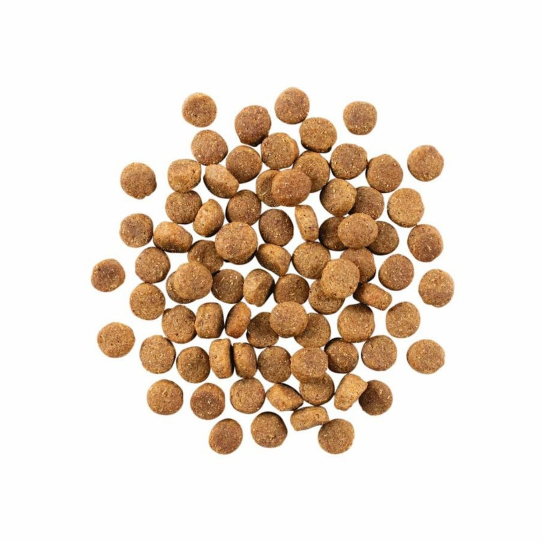 Go! Dog Skin & Coat Care Duck With Grain 12Lb