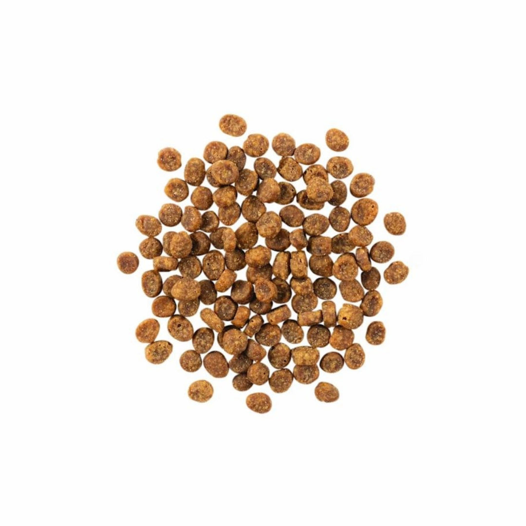 Go! Cat Sensitivities Limited Ingredient Grain Free Salmon 3Lb