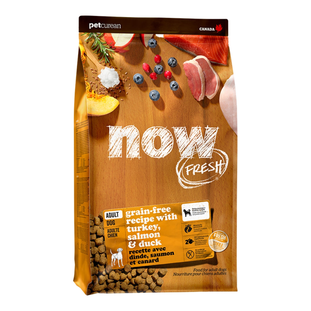 Now Fresh Dog Grain Free Adult Turkey 22Lb