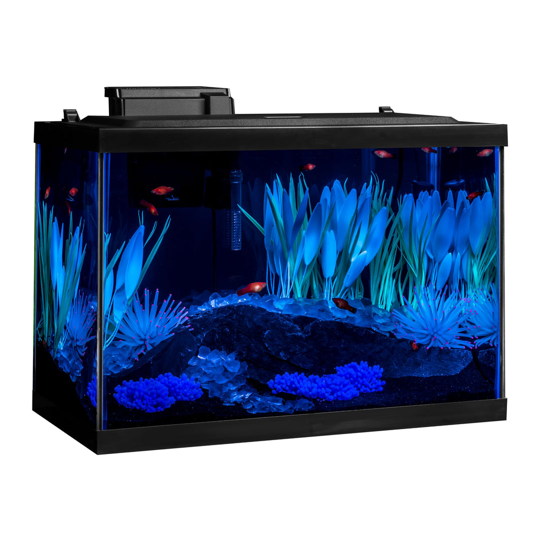 Tetra ColorFusion 20 Gallon Complete Aquarium Kit