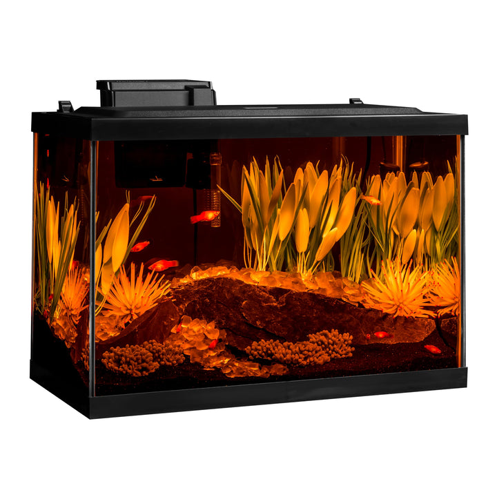 Tetra ColorFusion 20 Gallon Complete Aquarium Kit