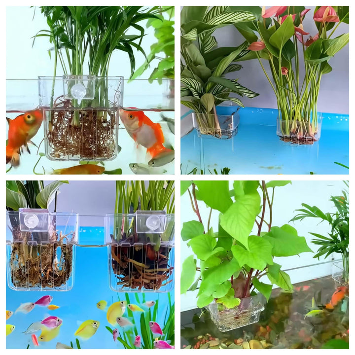 2 Pack Clear Aquarium Plant Holder Top Hanging Fish Tank Plant Holders