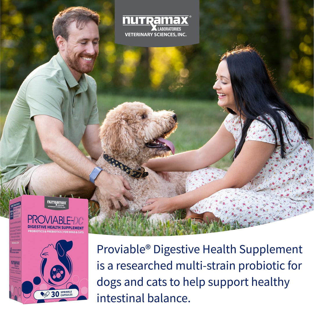 Nutramax Proviable Probiotics for Dogs &amp; Cats, Sprinkle Capsules, 30ct