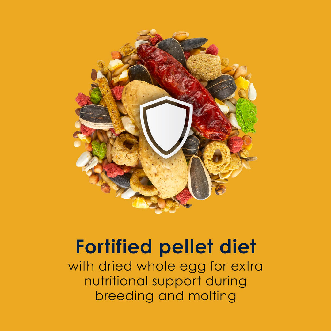 Kaytee Forti-Diet Pro Health Egg-Cite Pet Conure &amp; Lovebird Food, 3 Pound