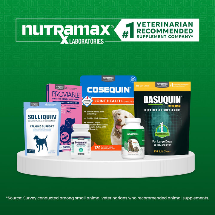 Nutramax Solliquin Calming Behavioral Health Supplement for Small to Medium Dogs and Cats - with L-Theanine, Magnolia/Phellodendron, and Whey Protein Concentrate, 75 Soft Chews