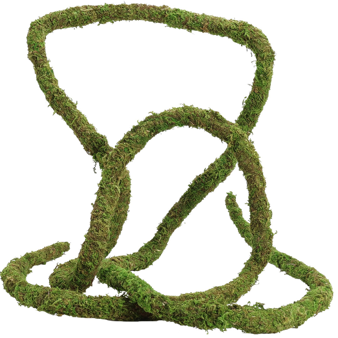 USMOLA Moss Vine for Reptiles, Bendable Climbing Vines Reptile Tank Accessories, Natural Moss Rope for Leopard Gecko, Lizard, Snake, Chameleon, Frog Terrarium Decor (Jungle Green, 6.5 FT)