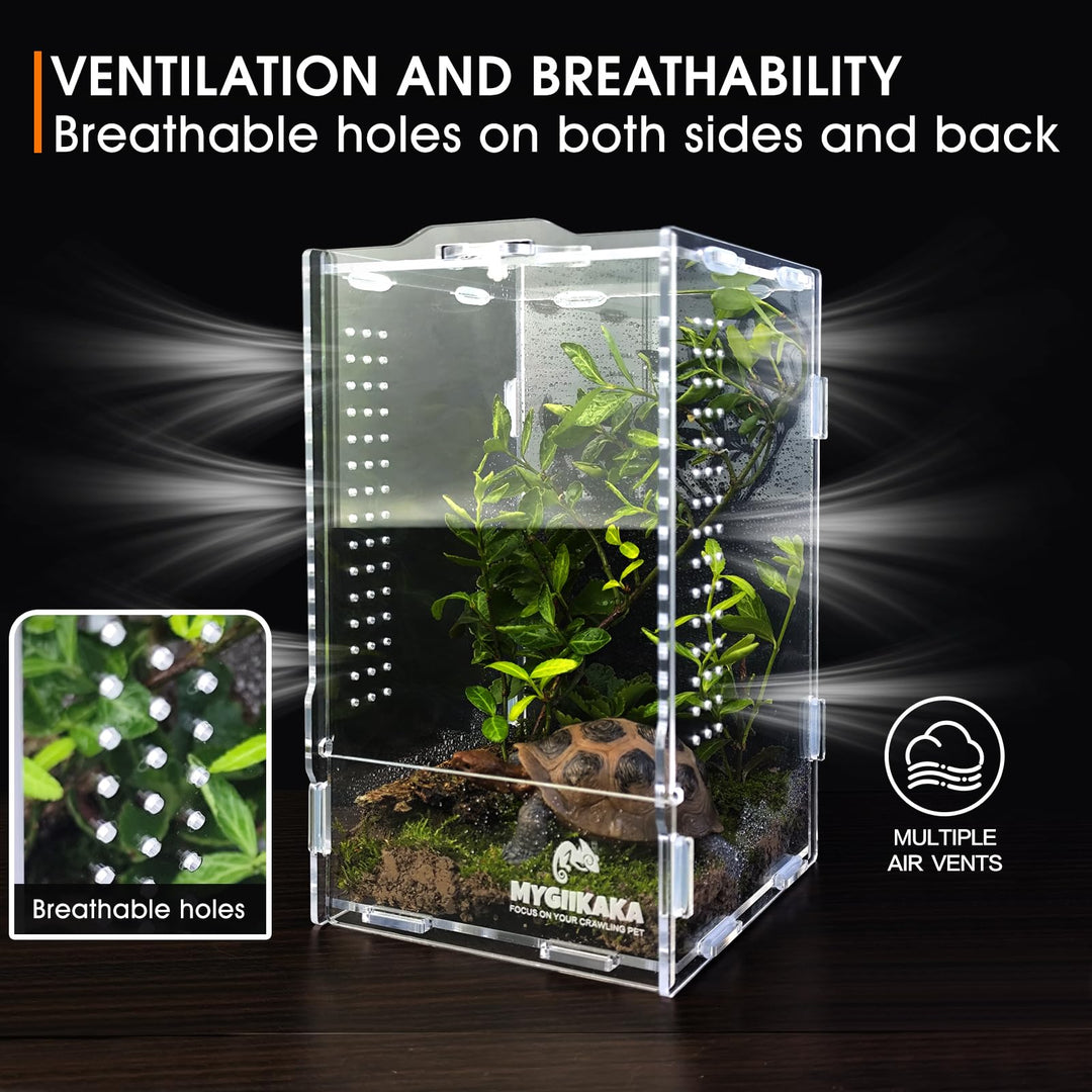Acrylic Jumping Spider Habitat, Insect Terrarium, Bug Enclosure, Praying Mantis Habitat, Frog Enclosure