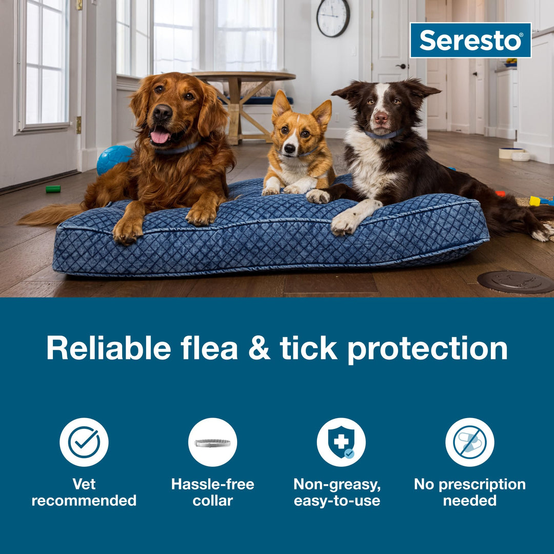 Seresto 8-Month Flea &amp; Tick Collar for Large Dogs Over 18 lbs., 1ct