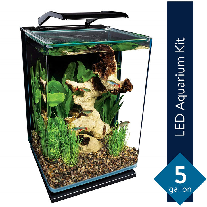 Marineland Portrait 5 Gallon Fish Tank Kit