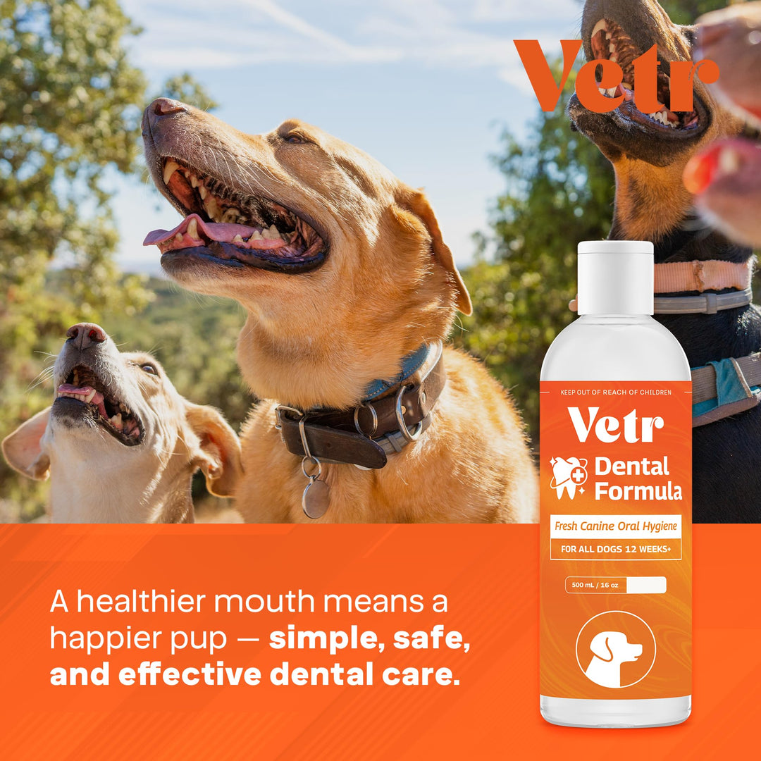vetr Dental Formula for Dogs - Peppermint Flavored Oral Care Liquid Additive with Enzymes for Breath and Teeth Support - 16 oz (500mL) - Vet-Formulated in USA