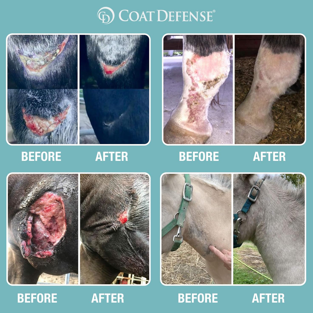 COAT DEFENSE Trouble Spot Drying Paste for Horses - Natural Equine Wound Care That Provides Safe &amp; Effective Relief from Scratches, Sweet Itch, Summer Sores, Proud Flesh, Mud Fever, Girth Rot (10 Oz)