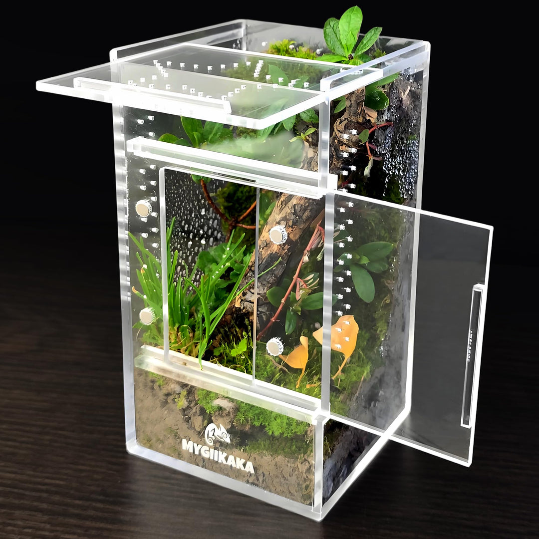 MYGIIKAKA Jumping Spider Enclosure Accessories, Tarantula Spider Box, Bug Cage, Praying Mantis Habitat Enclosure, Snail Insect Terrarium, Caterpillar Habitat (3x3x6 inch)
