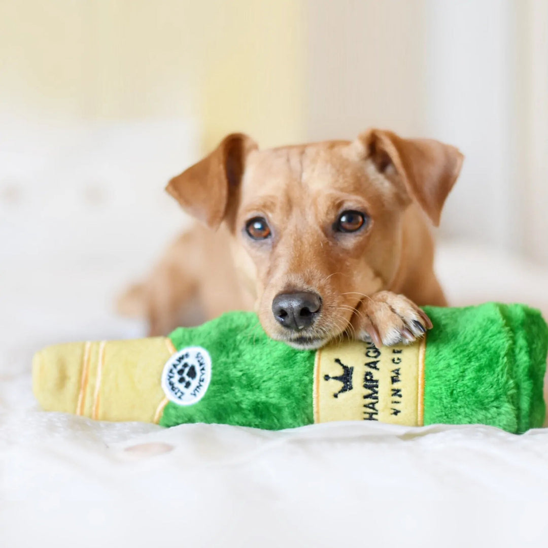 ZippyPaws Happy Hour Crusherz Dog Toy Champagne, 1ea/MD