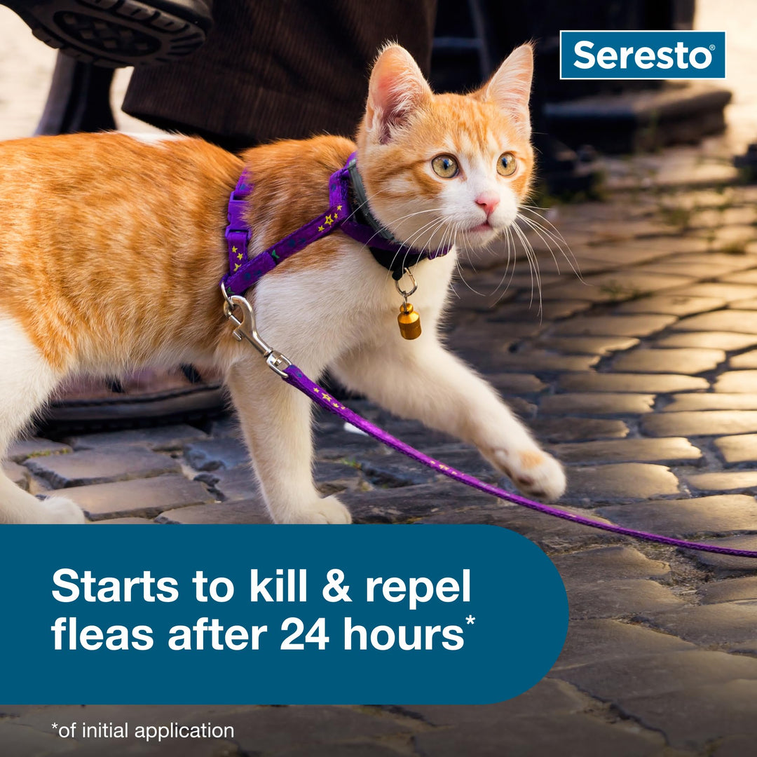 Seresto 8-Month Flea &amp; Tick Collar for Cats &amp; Kittens, 2ct