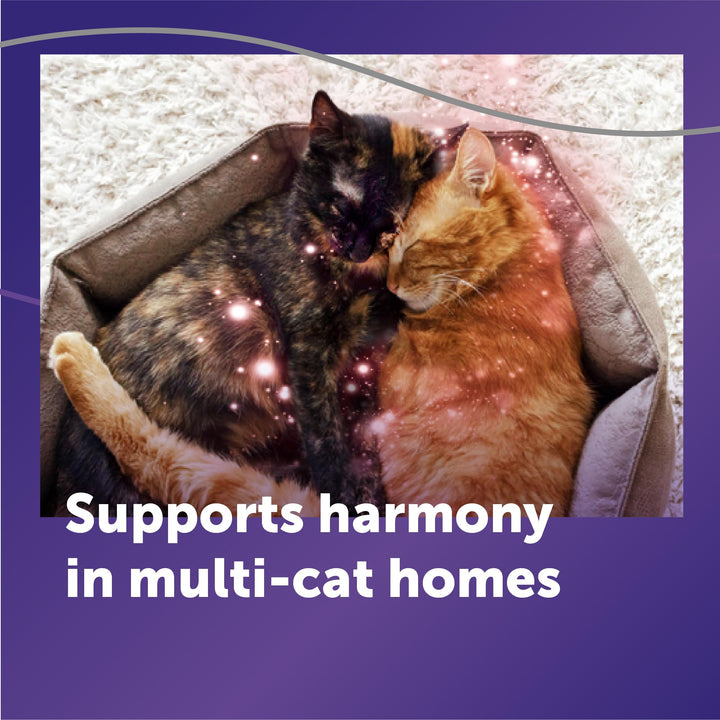 FELIWAY Optimum Cat Calming Diffuser Kit (2 Pack)