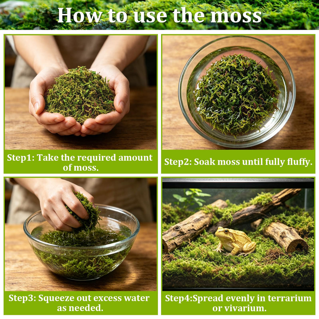Riare 1.3LB Sphagnum Moss for Reptiles- 30QT Natural Reptile Moss Bedding