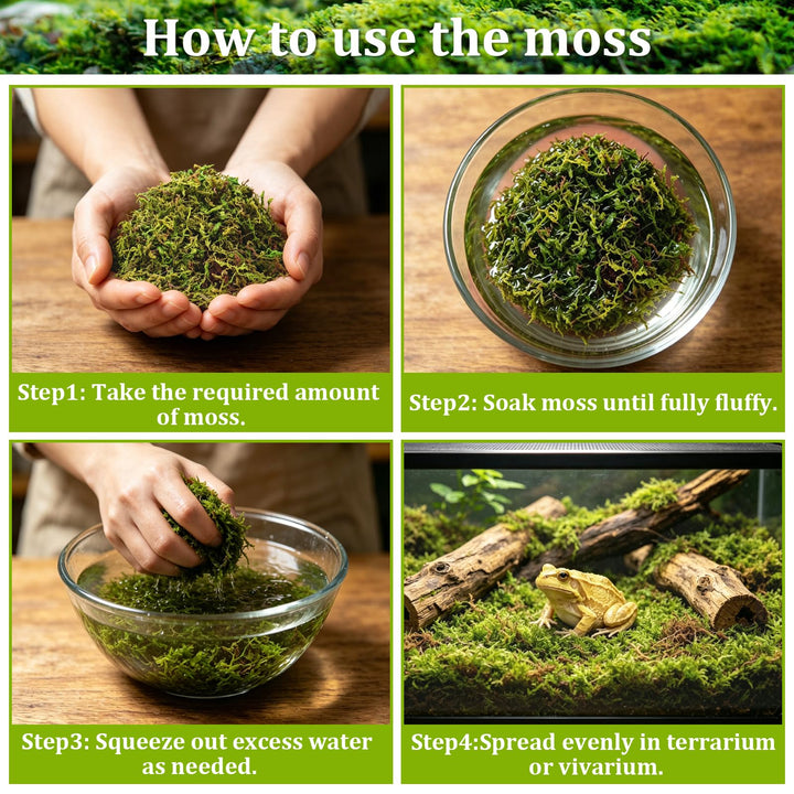 Riare 1.3LB Sphagnum Moss for Reptiles- 30QT Natural Reptile Moss Bedding