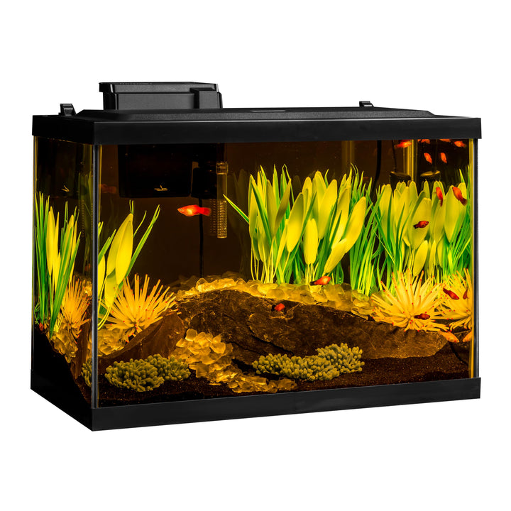 Tetra ColorFusion 20 Gallon Complete Aquarium Kit