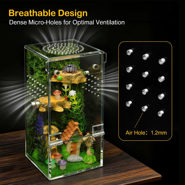 Clioran Jumping Spider Enclosure Starter Kit,3 x 3 x 6 in Acrylic Terrarium