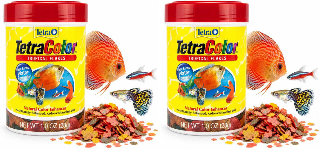 Tetra 77160 TetraColor Tropical Flakes,1-Ounce,185 ml,(Pack of 2)