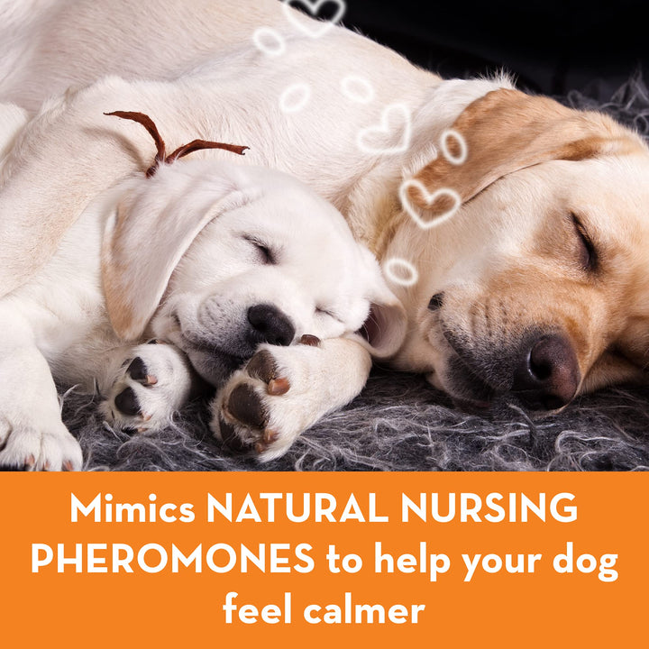 ThunderEase Dog Calming Pheromone Diffuser Kit | Powered by ADAPTIL | Vet Recommended to Relieve Separation Anxiety, Stress Barking &amp; Chewing, and Fear of Fireworks &amp; Thunderstorms (30 Day Supply)