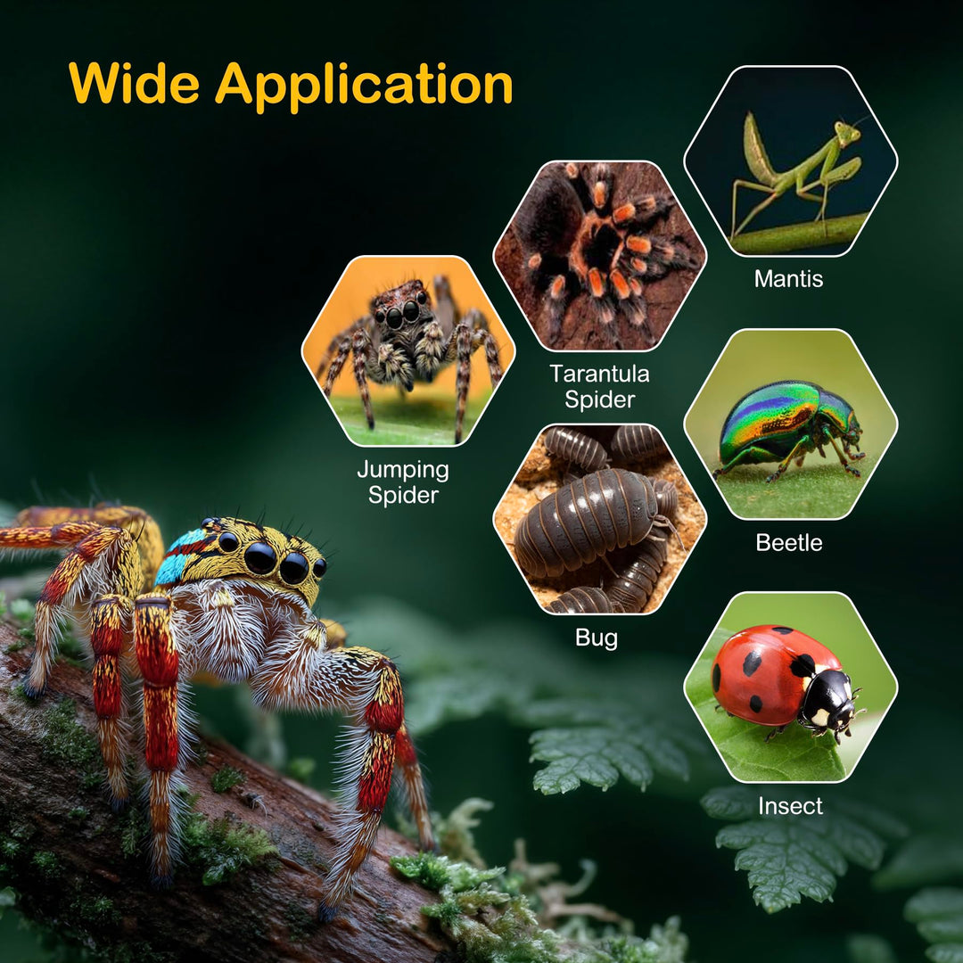 Clioran Jumping Spider Enclosure Starter Kit,3 x 3 x 6 in Acrylic Terrarium