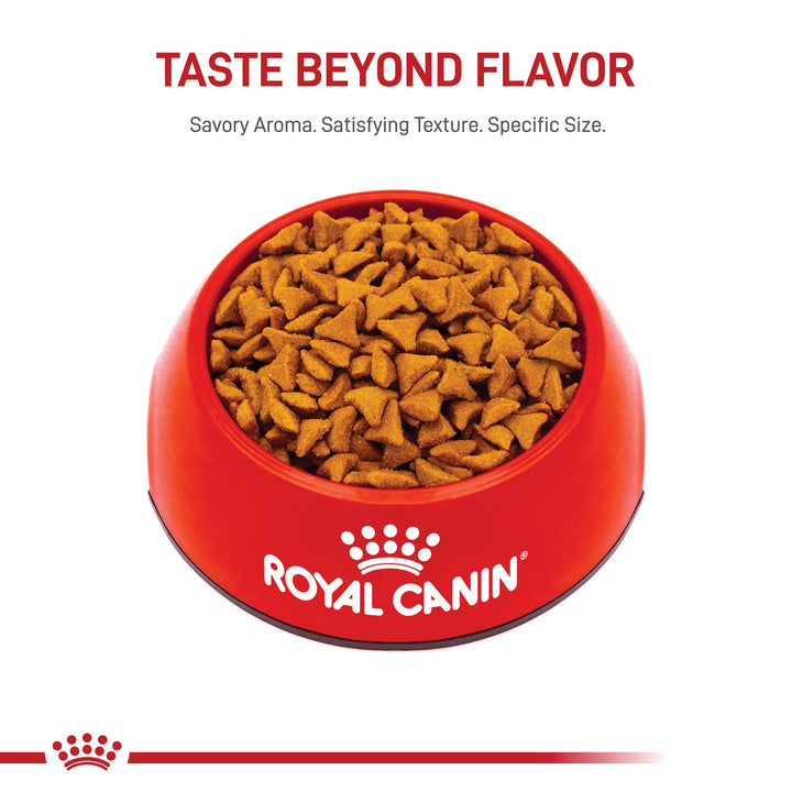 Royal Canin Feline Care Nutrition Hairball Care Adult Dry Cat Food, 6 lb Bag