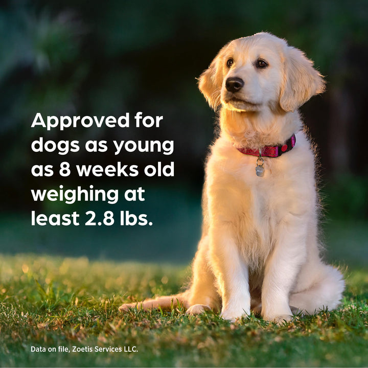 Simparica Trio Chewable for Dogs, Liver Flavor, 44.1-88 lbs, 6-Month Supply