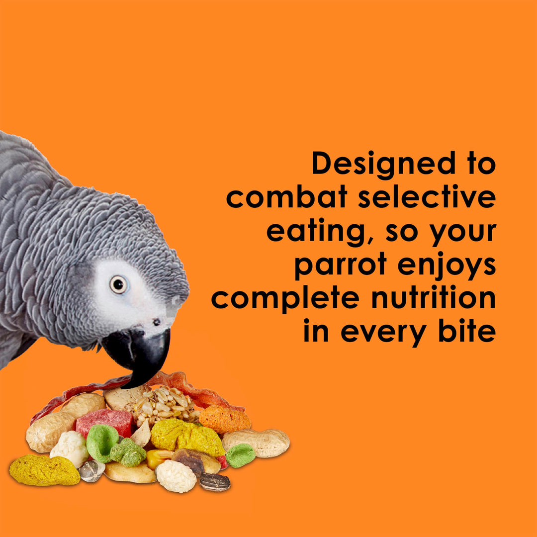 Kaytee Fiesta Parrot Food for Large Birds, 2.5 Pounds