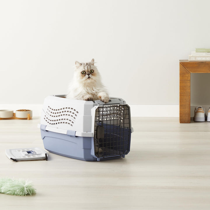 Amazon Basics Sturdy Portable 2-Door Top-Load Hard-Sided Pet Travel Carrier with Secure Ventilation, Handle, Front &amp; Top Entry for Dogs, Cats, 22.8"L x 15"W x 13"H, Gray &amp; Blue