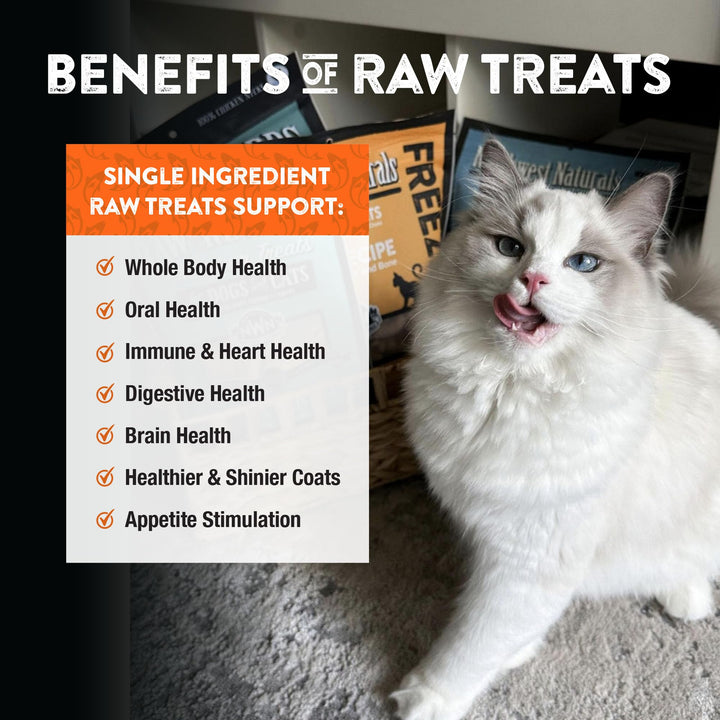 Northwest Naturals Raw Rewards Freeze-Dried Salmon Treats for Dogs and Cats - Bite-Sized Pieces - Healthy, 1 Ingredient, Human Grade Pet Food, All Natural, Proudly Made in USA, 2.5 Oz