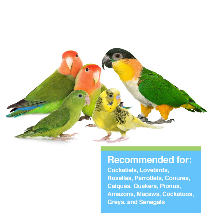 Hagen Tropican Lifetime Formula Parrot Food, 4 lb.