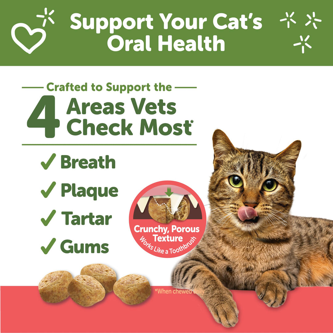 Whimzees Wellness Cat Dental Treats, Freshens Breath, Chicken and Salmon Flavor, 4.5 oz Bag (Pack of 2)
