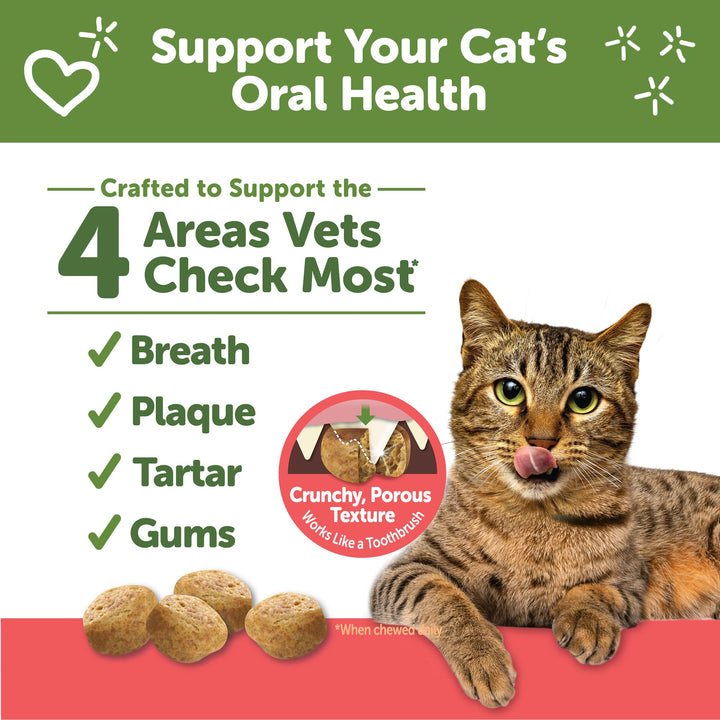 Whimzees Wellness Cat Dental Treats, Freshens Breath, Chicken and Salmon Flavor, 4.5 oz Bag (Pack of 2)
