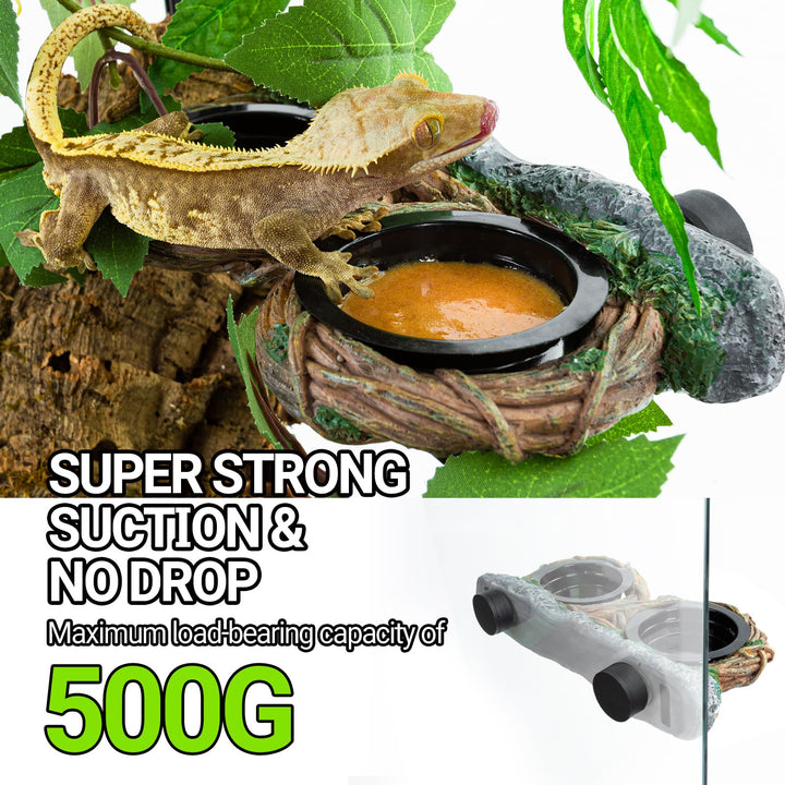 REPTI ZOO Magnetic Reptile Feeding Ledge, Gecko Feeder Ledge with 4PCS Cups, Hollow Vine Food Dish, Reptile Water Bowl for Bearded Dragon Lizard Snake Turtle, Terrarium Tank Accessories