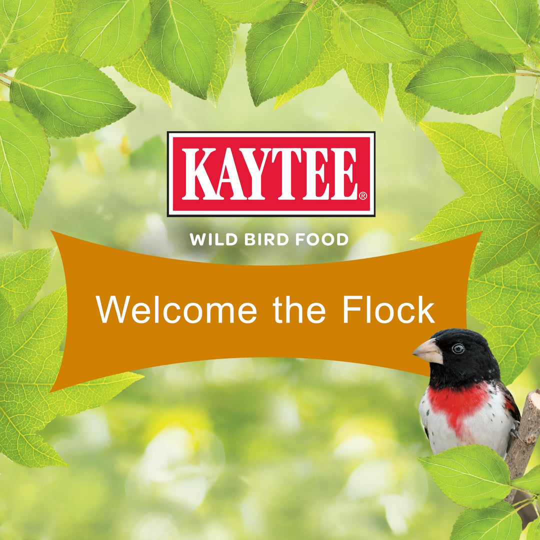 Kaytee Ultimate Wild Finch Blend Wild Bird Food, Attracts Finches &amp; Other Outdoor Wild Birds, 10 Pounds