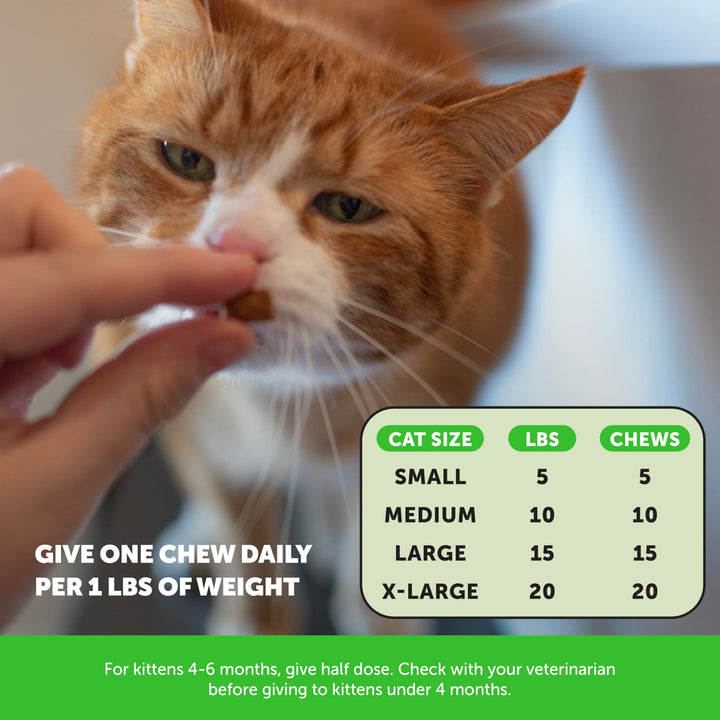 Pet Honesty Vet Backed Cat Hairball Remedy Chews, Chicken, 30-Day Supply