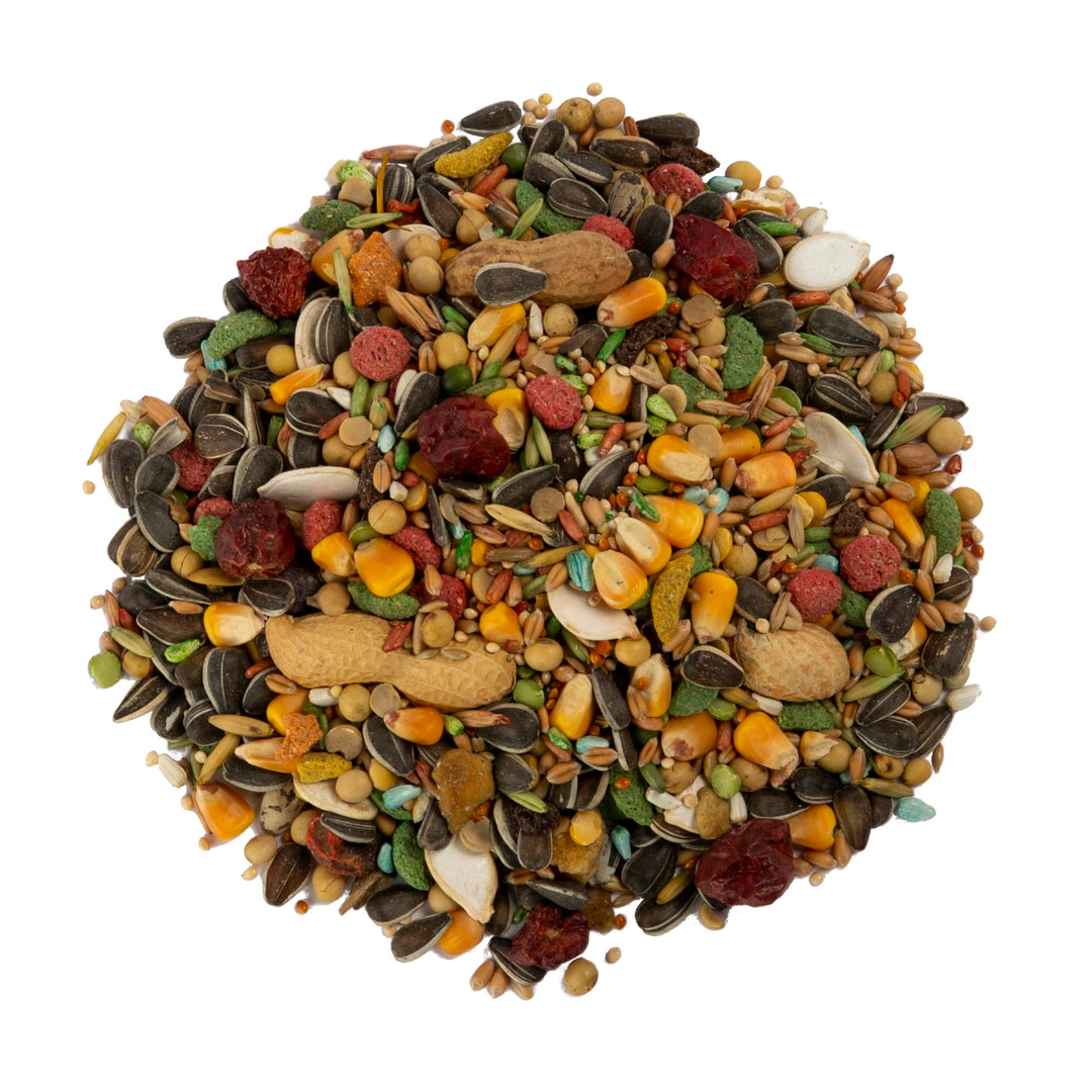 Wild Harvest Advanced Nutrition Parrot Food, 8 lbs