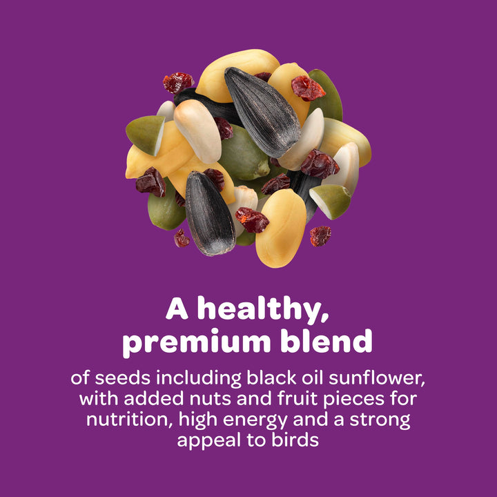 Kaytee Nut &amp; Fruit Wild Bird Seed, 5 lb