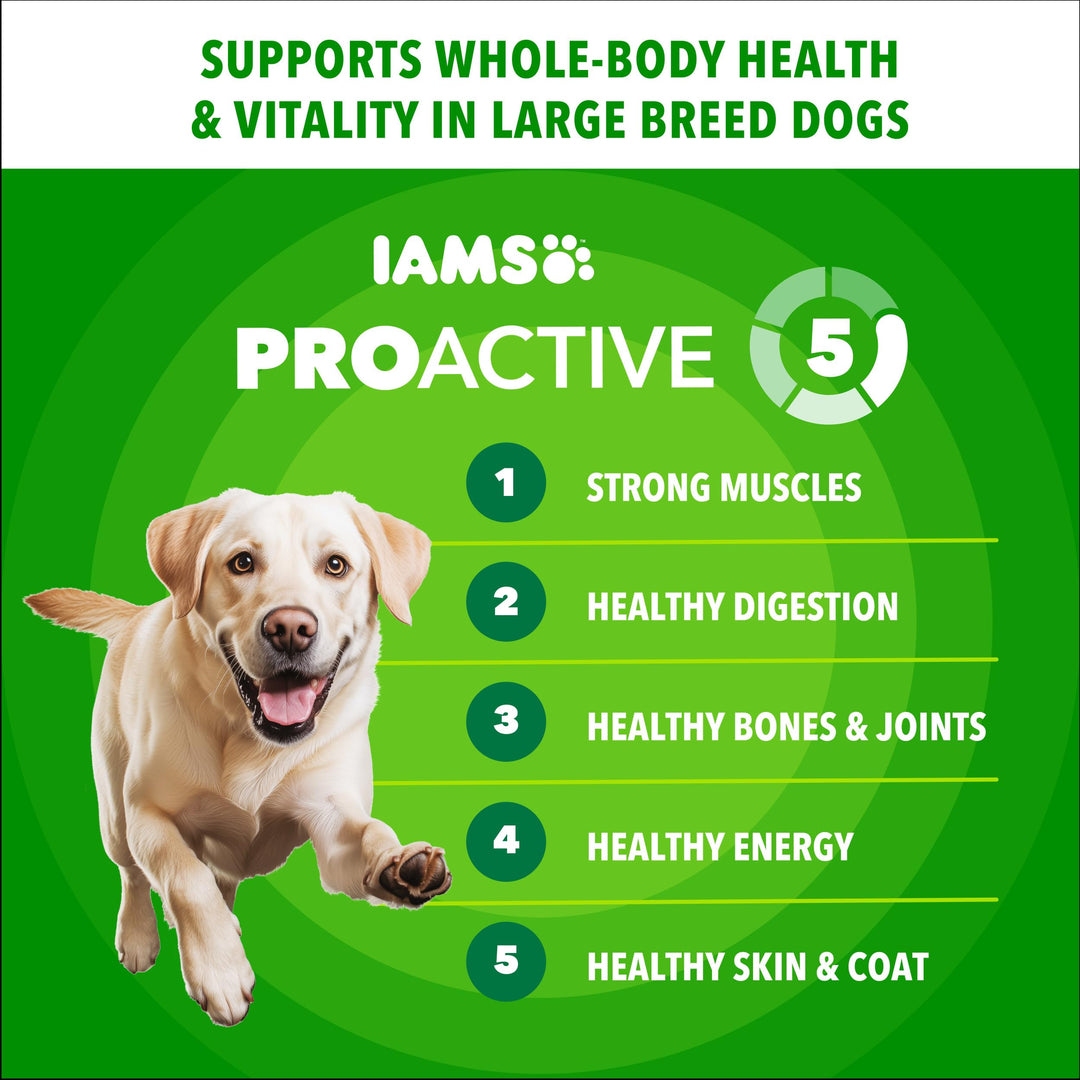 IAMS Proactive Health Large Breed Dry Dog Food, Chicken, 40 lb