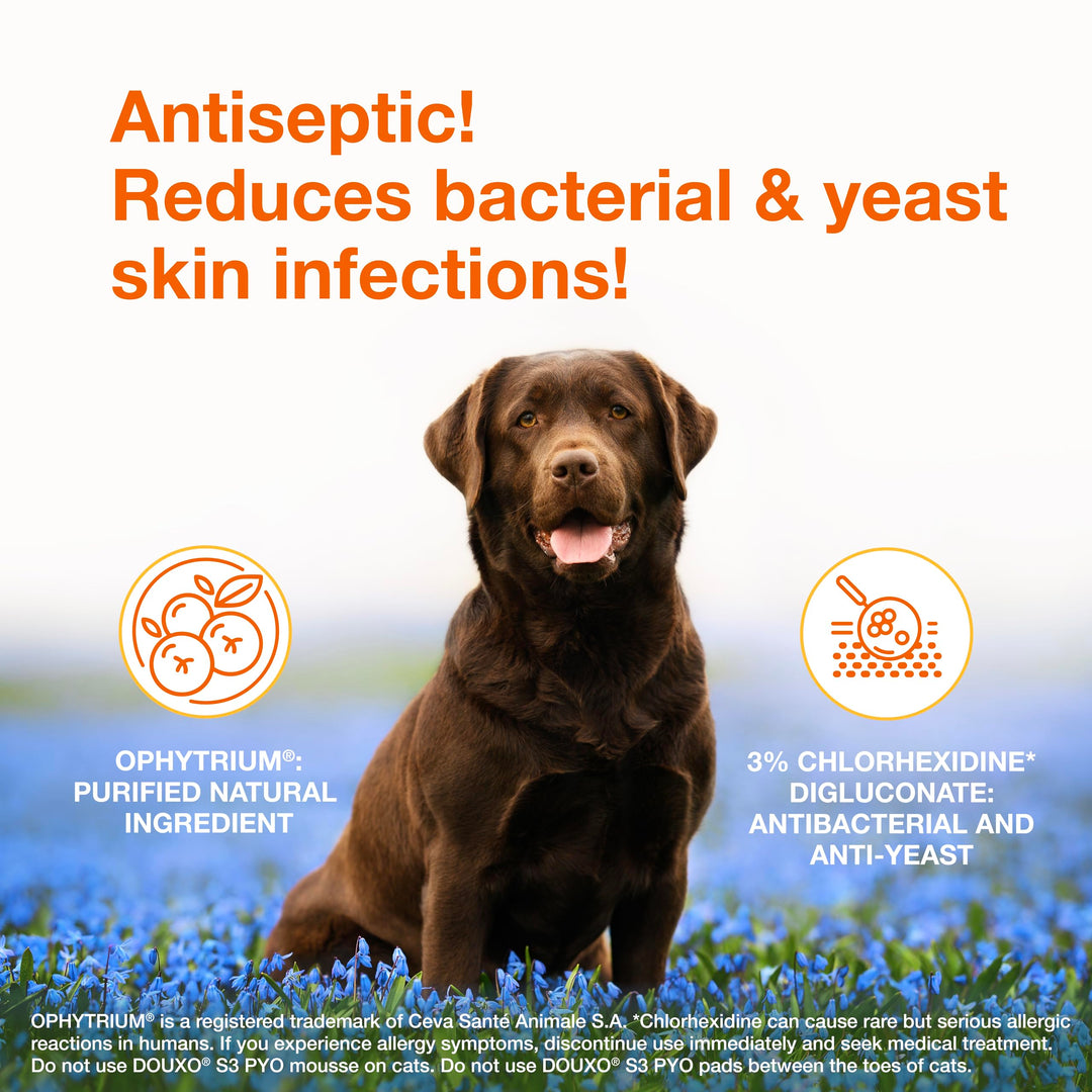 Douxo S3 PYO Medicated Dog Mousse - Bacterial &amp; Yeast Infection Treatment
